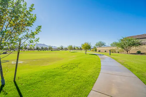 Santolina in Phoenix, Arizona