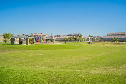 Santolina in Phoenix, Arizona