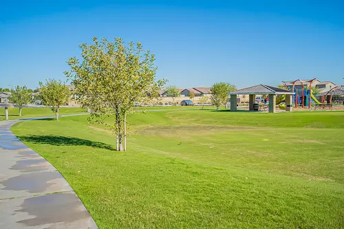 Santolina in Phoenix, Arizona
