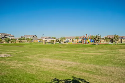 Santolina in Phoenix, Arizona