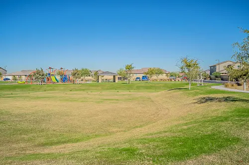 Santolina in Phoenix, Arizona