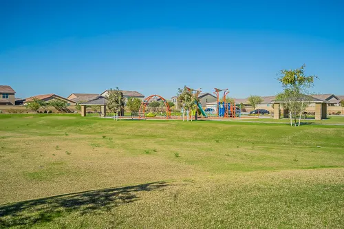 Santolina in Phoenix, Arizona
