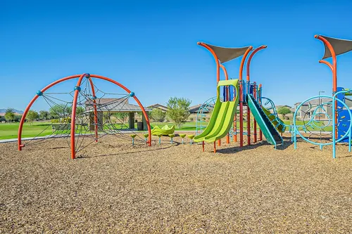 Santolina in Phoenix, Arizona