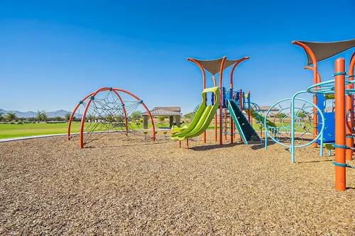 Santolina in Phoenix, Arizona