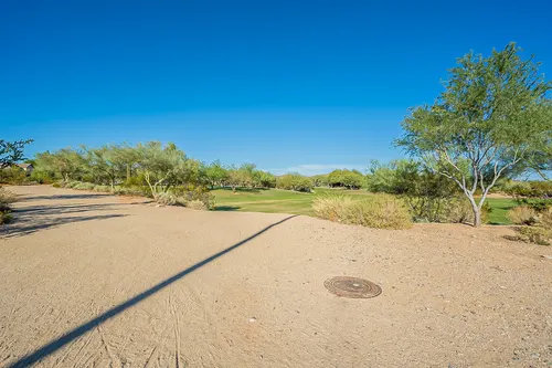 Sonoran Foothills in Phoenix, Arizona