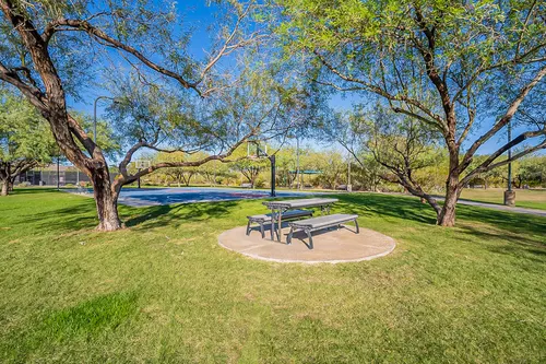 Sonoran Foothills in Phoenix, Arizona