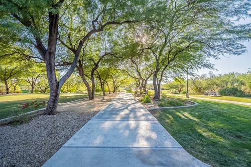 Sonoran Foothills in Phoenix, Arizona