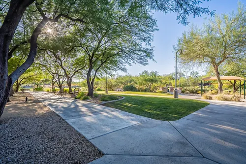 Sonoran Foothills in Phoenix, Arizona