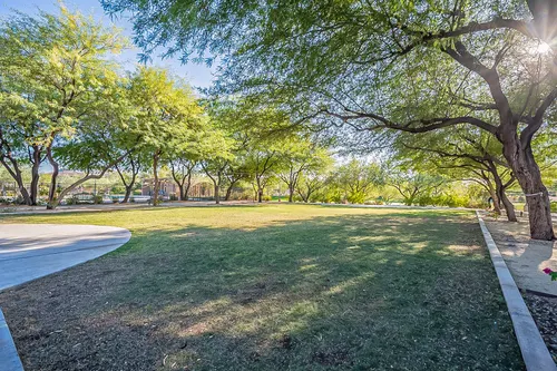 Sonoran Foothills in Phoenix, Arizona