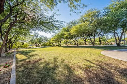 Sonoran Foothills in Phoenix, Arizona