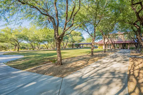 Sonoran Foothills in Phoenix, Arizona