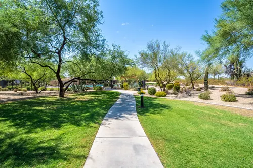 Sonoran Foothills in Phoenix, Arizona