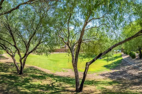 Sonoran Foothills in Phoenix, Arizona