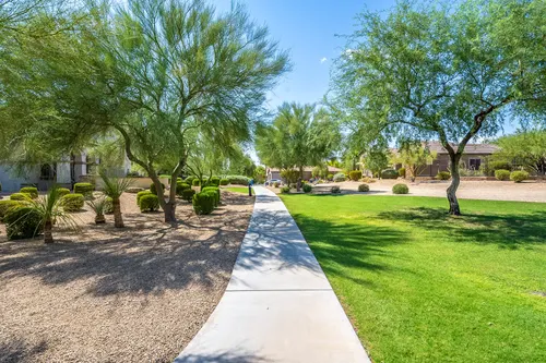 Sonoran Foothills in Phoenix, Arizona