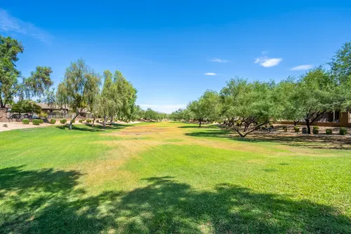Sonoran Foothills in Phoenix, Arizona