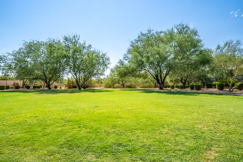 Sonoran Foothills in Phoenix, Arizona