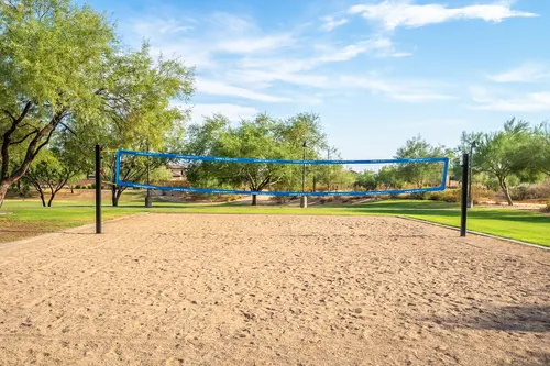 Sonoran Foothills in Phoenix, Arizona