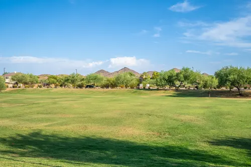 Sonoran Foothills in Phoenix, Arizona