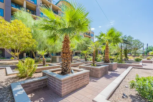 Tapestry on Central in Phoenix, Arizona