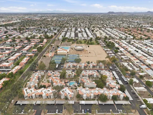 Turtle Run in Phoenix, Arizona