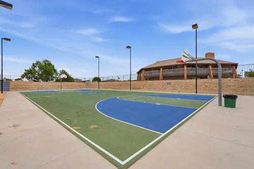 Turtle Run in Phoenix, Arizona