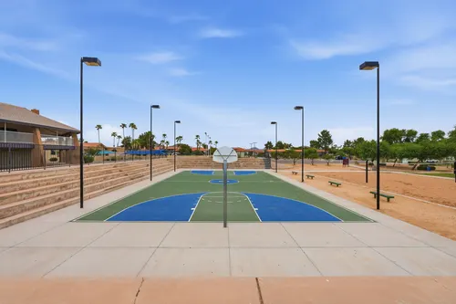 Turtle Run in Phoenix, Arizona