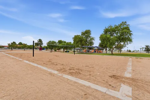 Turtle Run in Phoenix, Arizona