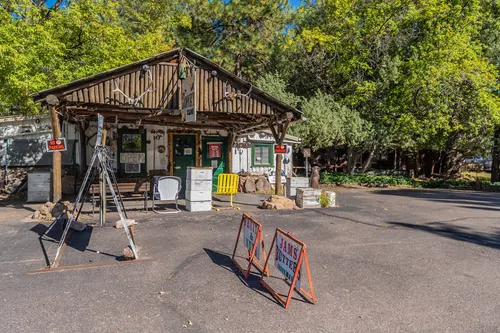 Pine Area in Pine, Arizona