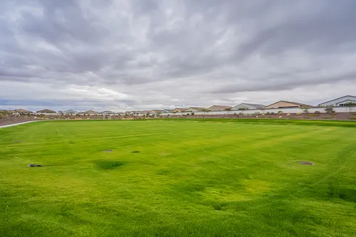 Archer Meadows in Queen Creek, Arizona