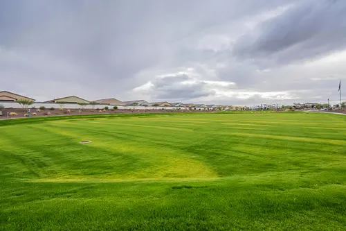 Archer Meadows in Queen Creek, Arizona