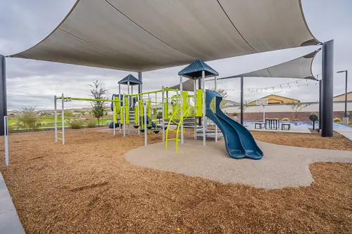 Archer Meadows in Queen Creek, Arizona