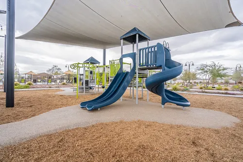 Archer Meadows in Queen Creek, Arizona