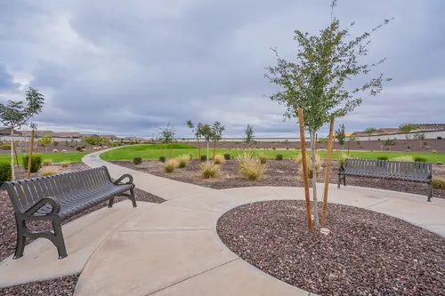 Archer Meadows in Queen Creek, Arizona
