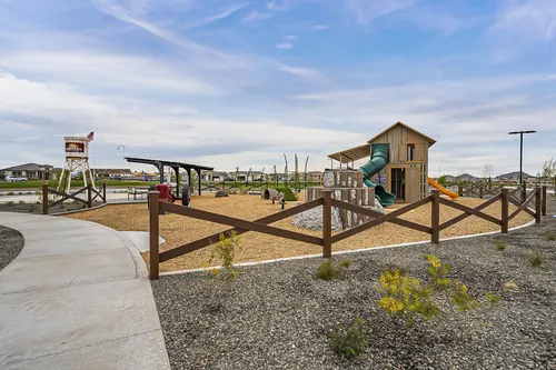 Harvest in Queen Creek, Arizona