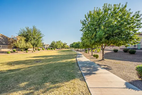 Montelena in Queen Creek, Arizona