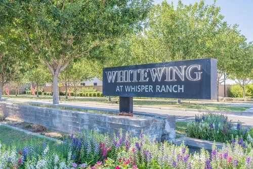 Whitewing At Whisper Ranch in Queen Creek, Arizona