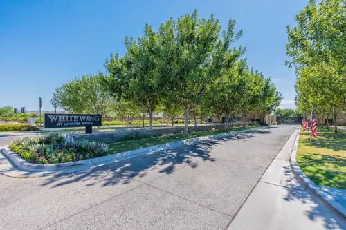 Whitewing At Whisper Ranch in Queen Creek, Arizona