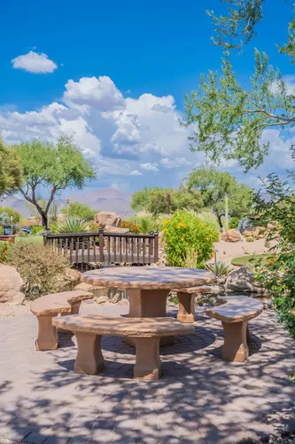 Tonto Verde in Rio Verde, Arizona