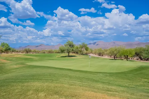 Tonto Verde in Rio Verde, Arizona