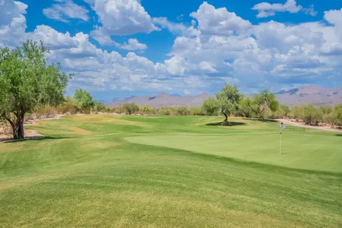 Tonto Verde in Rio Verde, Arizona