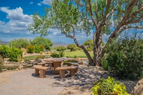 Tonto Verde in Rio Verde, Arizona
