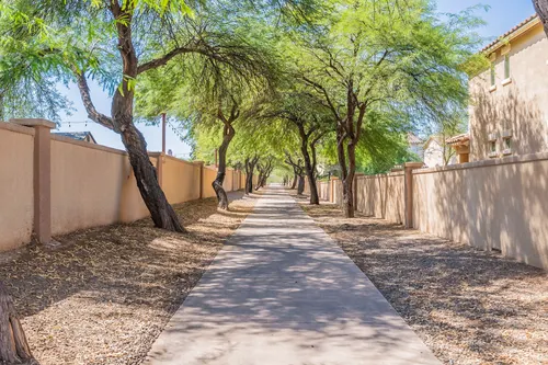 Presidio De La Madera in Sahuarita, Arizona