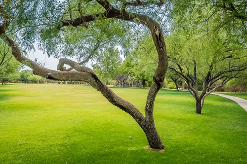 Rancho Sahuarita in Sahuarita, Arizona
