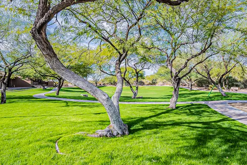 Bellasera in Scottsdale, Arizona