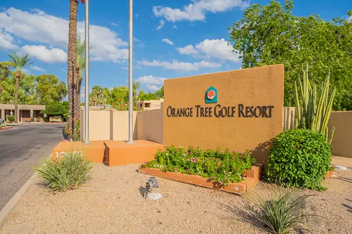 Orange tree in Scottsdale, Arizona