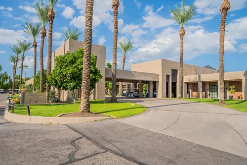 Orange tree in Scottsdale, Arizona