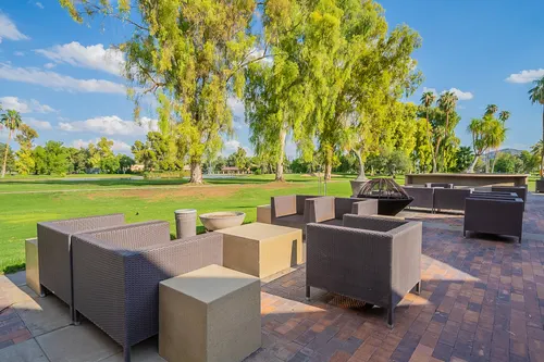 Orange tree in Scottsdale, Arizona
