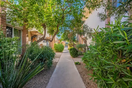 Tres Olivos in Scottsdale, Arizona