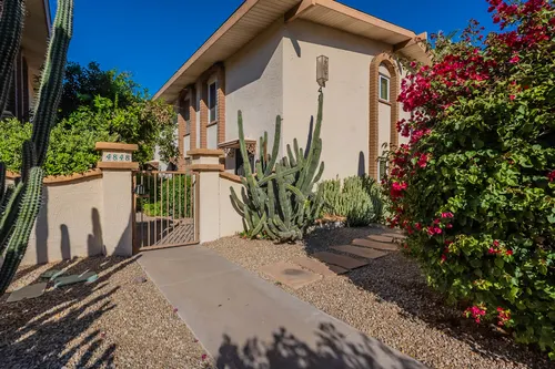 Tres Olivos in Scottsdale, Arizona
