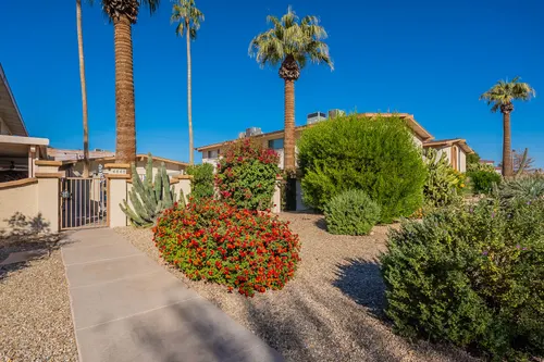 Tres Olivos in Scottsdale, Arizona